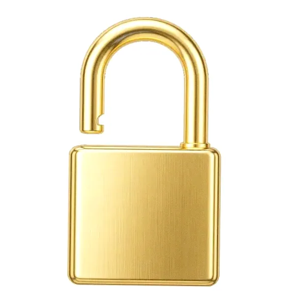 Padlock — Lizaro