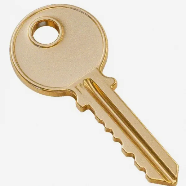Metal key — Lizaro