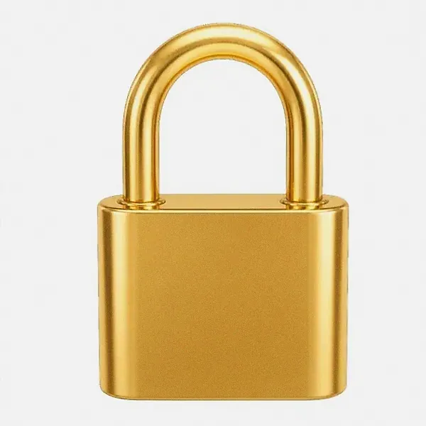Orange padlock — Lizaro