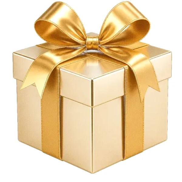 Gift box — Lizaro