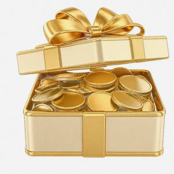 Gift box with coins — Lizaro