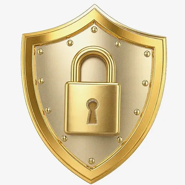 Shield with padlock — Lizaro