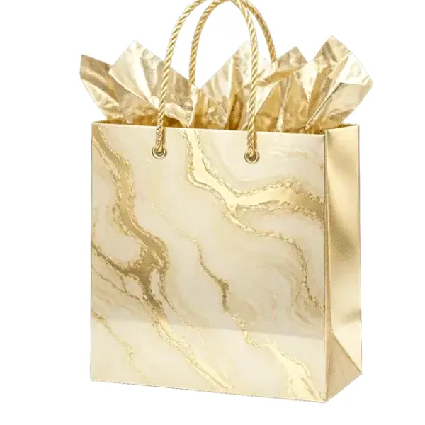 Paper gift bag — Lizaro