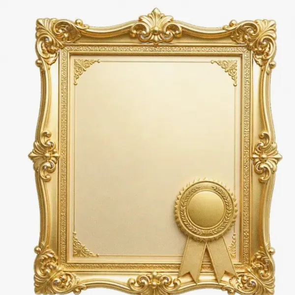 Framed certificate — Lizaro