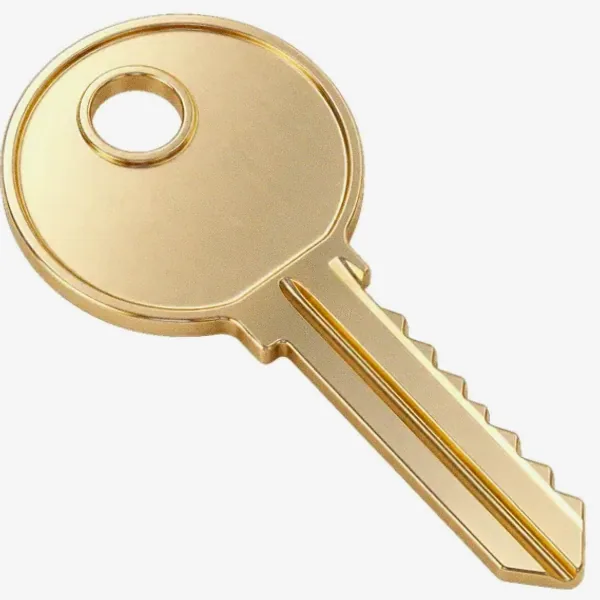 Round key — Lizaro