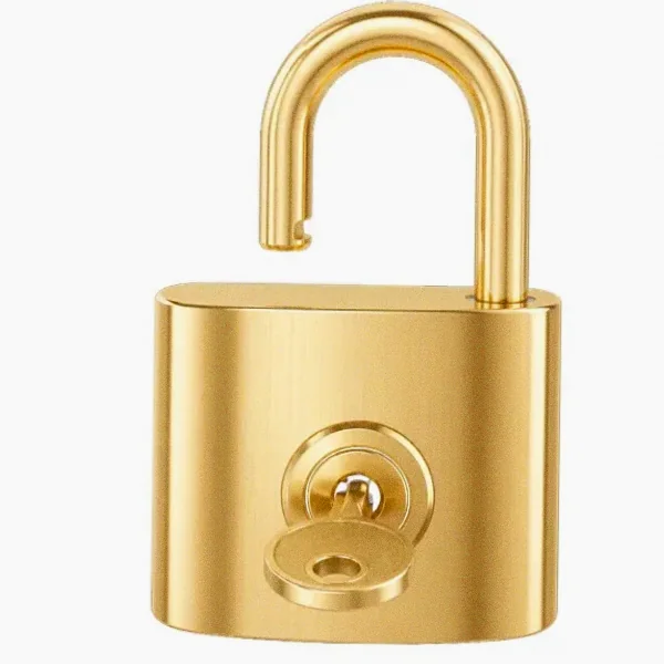 Open padlock — Lizaro