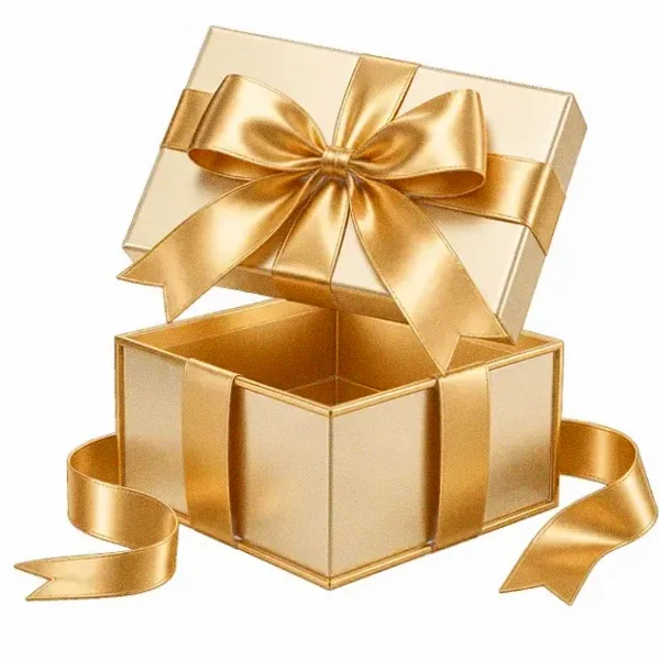Open gift box — Lizaro