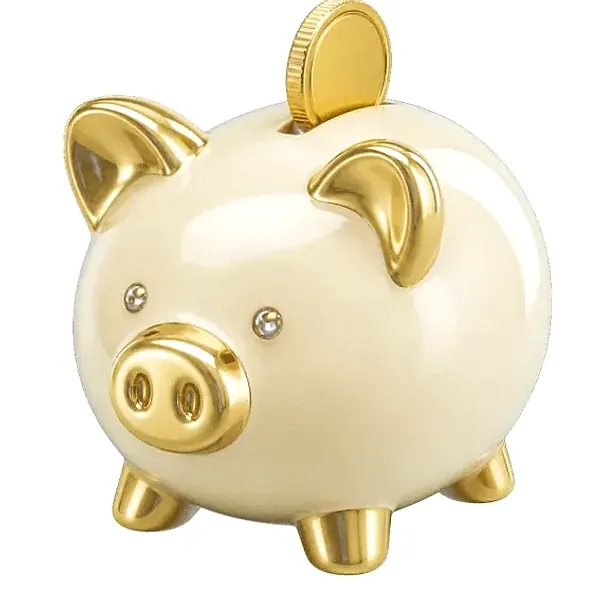 Piggy bank — Lizaro